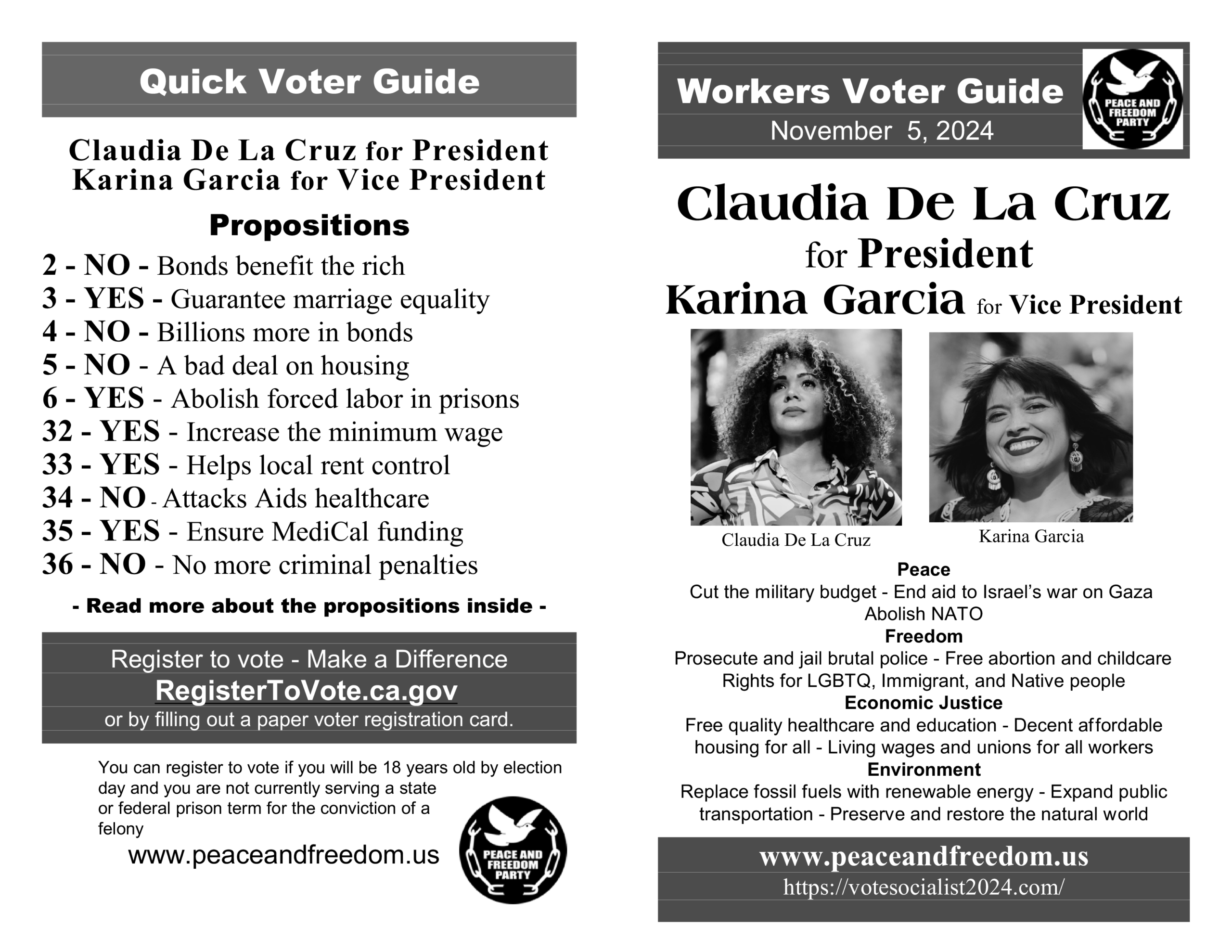 2024 nov Workers Voters Guide p1