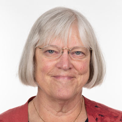 AliceStek